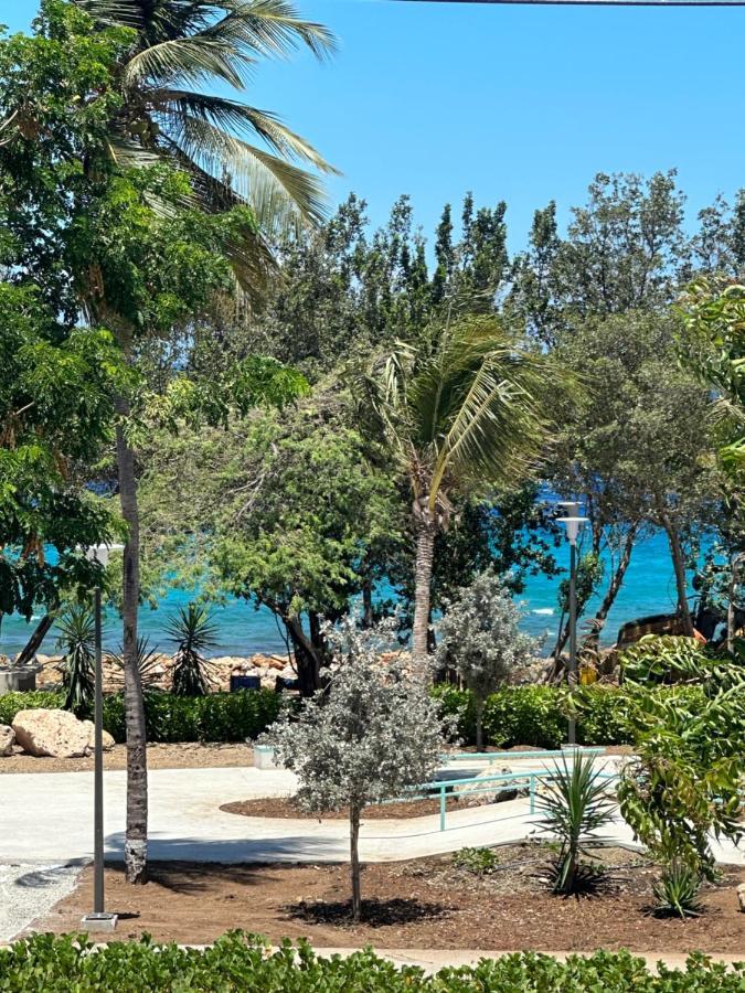 Апартаменты Whitehouse Boulevard, Close To Mambo Beach And City Centre Виллемстад Экстерьер фото